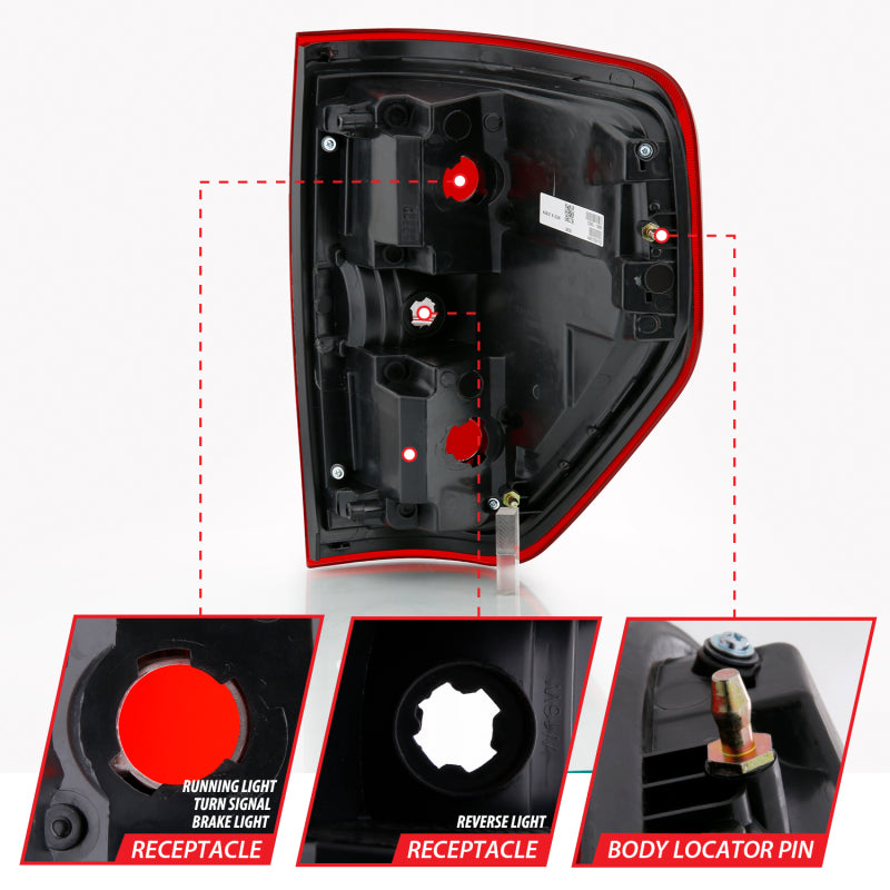 ANZO 2009-2014 Ford F-150 Euro Taillight Red/Clear (W/O Bulb) - Burkken Auto Parts