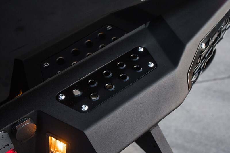 Photo - Close Up