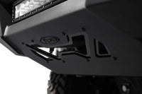Photo - Close Up