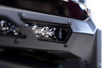 Photo - Close Up
