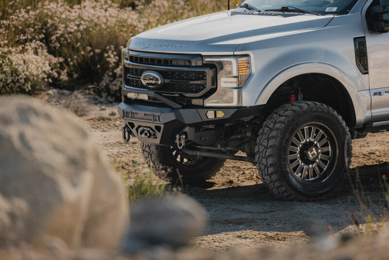Photo - Close Up