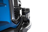 Photo - Close Up