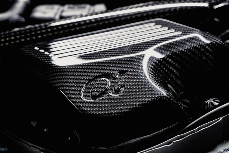 AMS Performance 15-18 BMW M3 / 15-20 BMW M4 w/ S55 3.0L Turbo Engine Carbon Fiber Intake - Burkken Auto Parts