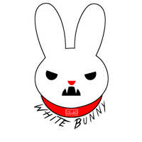 Competition Clutch Nissan 240SX SR20DET 250mm White Bunny Upgrade Kit - Burkken Auto Parts