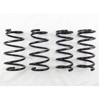 RS-R 2011-2020 Toyota Sienna AWD (GSL35) Ti2000 Down Springs - Burkken Auto Parts