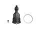 Photo - Primary