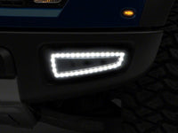 Photo - Close Up