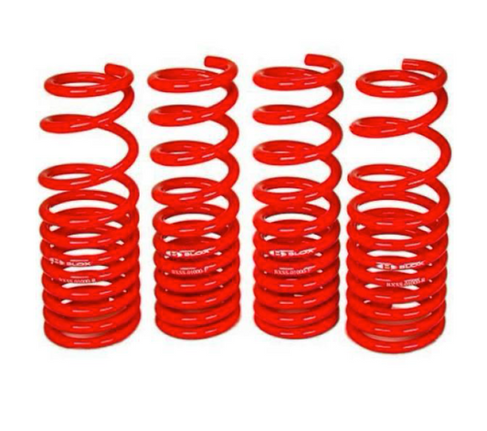 BLOX Racing Lowering Springs Tesla Model 3 Long Range RWD - Burkken Auto Parts