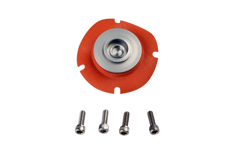 Aeromotive EFI Regulator Repair Kit (for 13110) - Burkken Auto Parts