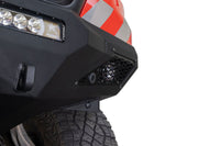 Photo - Close Up