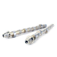 Skunk2 Honda / Acura K20A/A2/Z1/Z3 & K24A2 2.0L DOHC BMF 2 VTEC Camshafts - Burkken Auto Parts