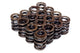 BLOX Racing Dual Valve Springs for K20A2-3 Z1-3 (2.0L DOHC i-VTEC) / K24A-3 (2.4L DOHC i-VTEC) - Burkken Auto Parts