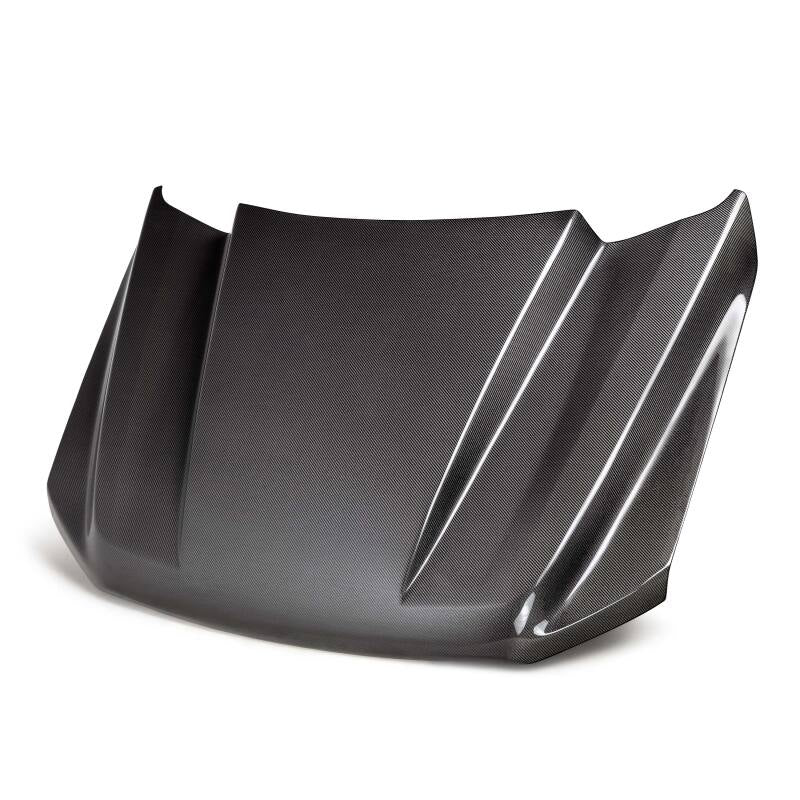 Anderson Composites 21-24 Ford F-150 Type-CJ Carbon Fiber Hood - Burkken Auto Parts