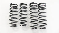 RS-R 01-06 Lexus LS430 (UCF30/31) Super Down Springs - Burkken Auto Parts