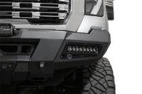 Photo - Close Up