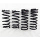 RS-R 05-13 Lexus IS250/350 RWD (GSE20/GSE21) Down Sus Springs - Burkken Auto Parts