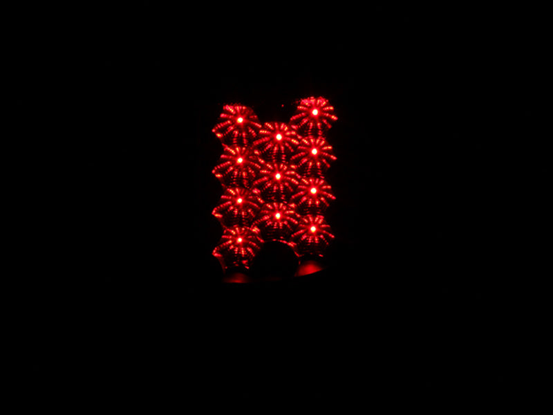 ANZO 2004-2008 Ford F-150 LED Taillights Black - Burkken Auto Parts