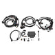 Edelbrock 15-17 Ford Coyote Pro-Flo 4+ EFI Engine Management System