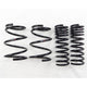 RS-R 12+ Subaru Forester (SJG) Down Sus Springs - Burkken Auto Parts