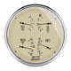 AutoMeter Gauge Quad 5in. 0 Ohm(e) to 90 Ohm(f)Elec Antique Beige - Burkken Auto Parts