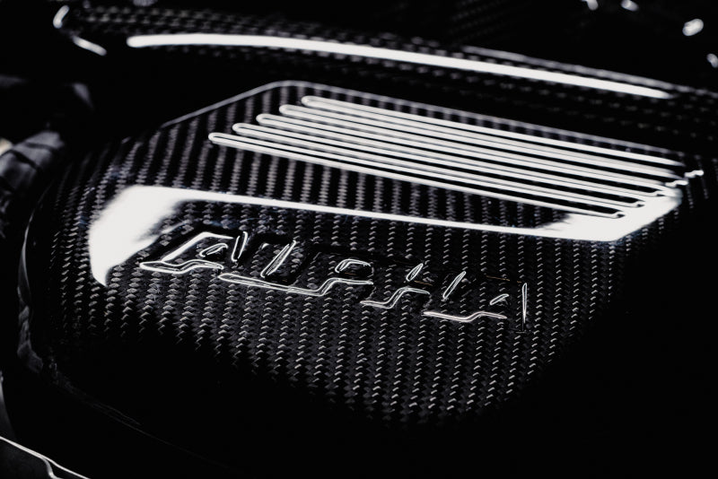 AMS Performance 15-18 BMW M3 / 15-20 BMW M4 w/ S55 3.0L Turbo Engine Carbon Fiber Intake - Burkken Auto Parts