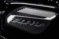 AMS Performance 15-18 BMW M3 / 15-20 BMW M4 w/ S55 3.0L Turbo Engine Carbon Fiber Intake - Burkken Auto Parts
