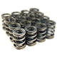BLOX Racing B16A - B18C1-5 (1.6L - 1.8L DOHC Vtec) Performance Valve Spring - Burkken Auto Parts