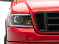 Photo - Close Up