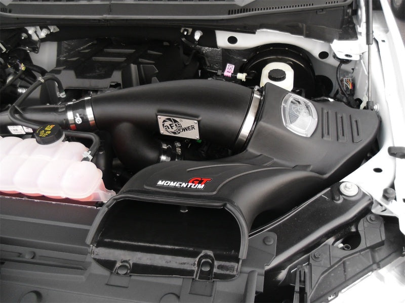 aFe Momentum GT Pro DRY S Intake System 2016 Ford F-150 EcoBoost V6-2.7L/3.5L (tt) - Burkken Auto Parts