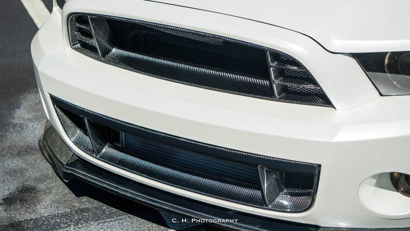 Anderson Composites 10-14 Ford Mustang/Shelby GT500 Front Lower Grille - Burkken Auto Parts