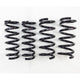 RS-R 2007-2015 Infiniti G37 2dr/4dr RWD (CKV36) Down Sus Springs - Burkken Auto Parts