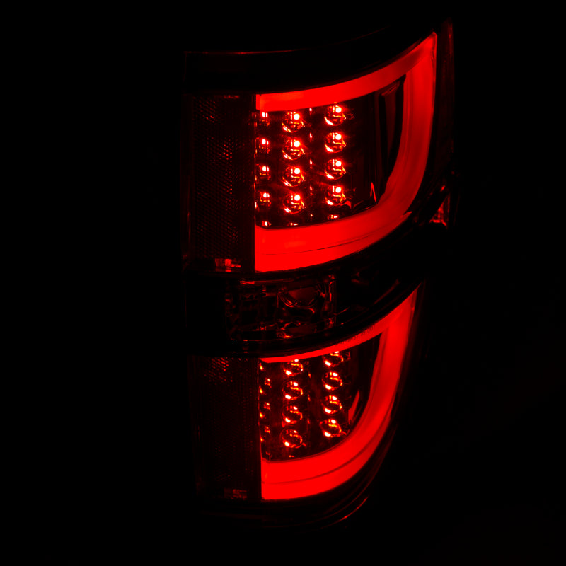 ANZO 2009-2013 Ford F-150 LED Taillights Chrome - Burkken Auto Parts