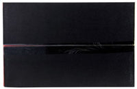 AEM C.A.S. 06-13 Lexus IS250 V6-2.5L F/I Cold Air Intake System - Burkken Auto Parts