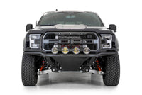 Photo - Close Up