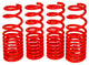 BLOX Racing 06-11 Honda Civic Lowering Springs - Burkken Auto Parts