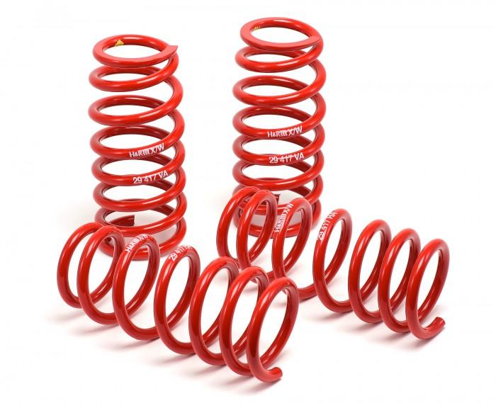 H&R 05-09 Ford Mustang/Convertible/GT/Shelby GT/Shelby GT-H V6/V8 Race Spring