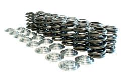 Manley Nissan SR20DE/SR20DET Valve Spring and Retainer Kit (w/o Valve Locks) - Burkken Auto Parts