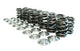 Manley Acura B Series V-Tec Valve Spring and Retainer Kit (w/ Valve Locks)