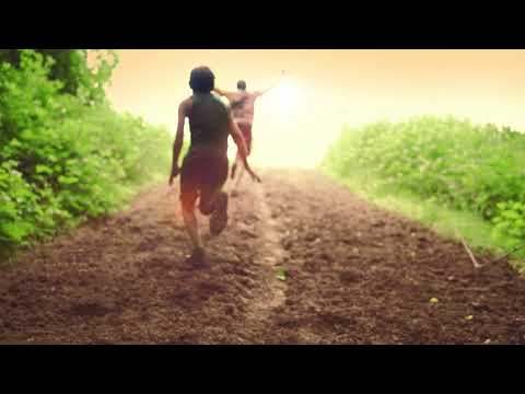 Video File